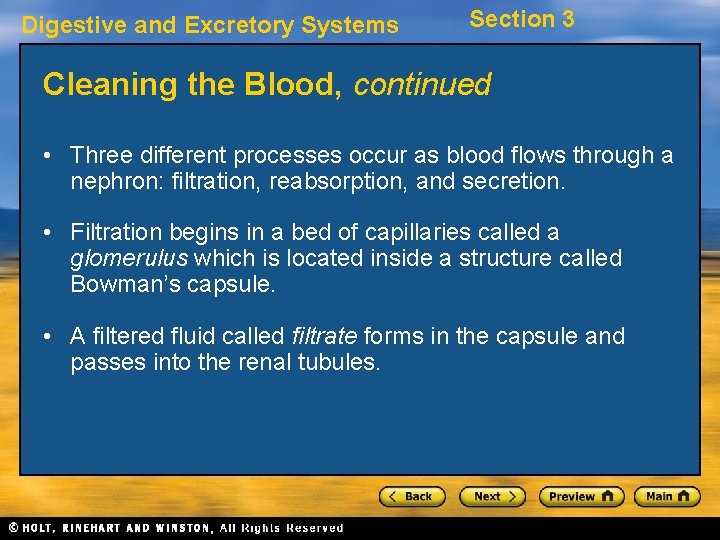 Digestive and Excretory Systems Section 3 Cleaning the Blood, continued • Three different processes