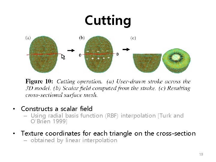 Cutting • Constructs a scalar field – Using radial basis function (RBF) interpolation [Turk