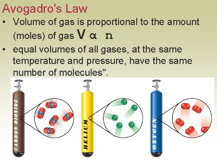 Avogadro's Law • Volume of gas is proportional to the amount (moles) of gas