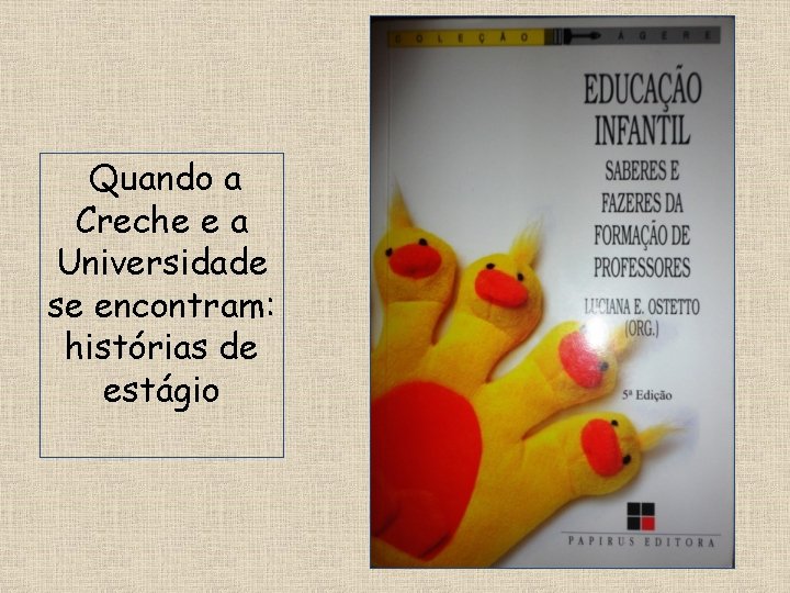 Quando a Creche e a Universidade se encontram: histórias de estágio 