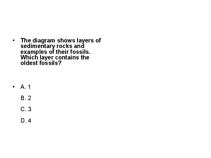  • The diagram shows layers of sedimentary rocks and examples of their fossils.