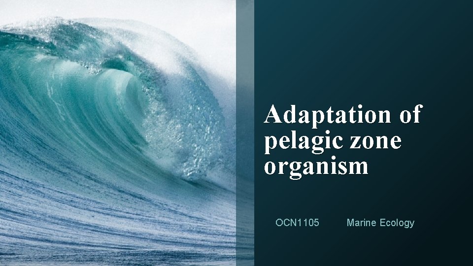 Adaptation of pelagic zone organism OCN 1105 Marine Ecology 