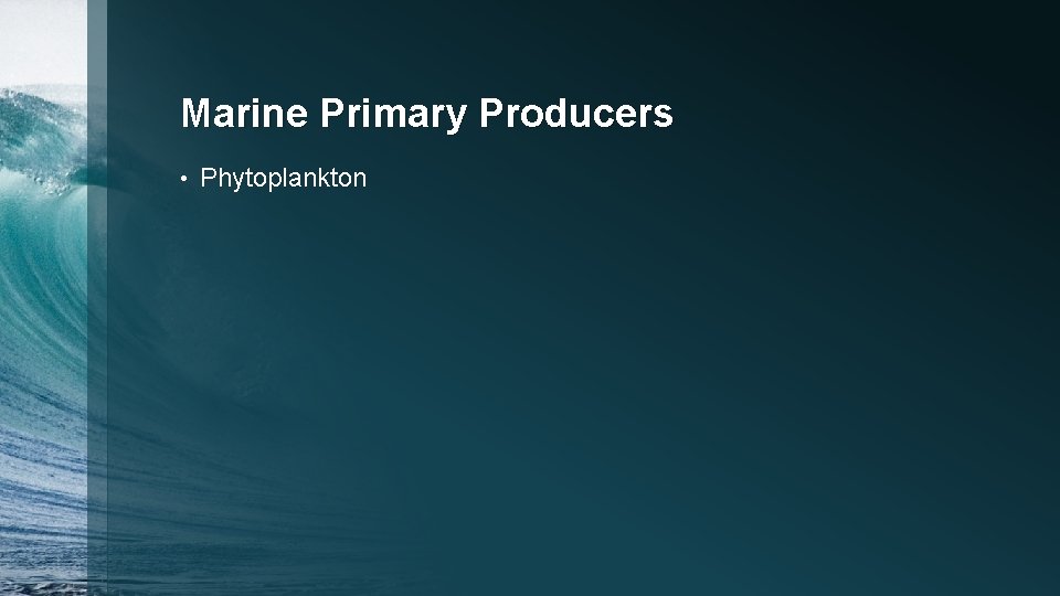 Marine Primary Producers • Phytoplankton 