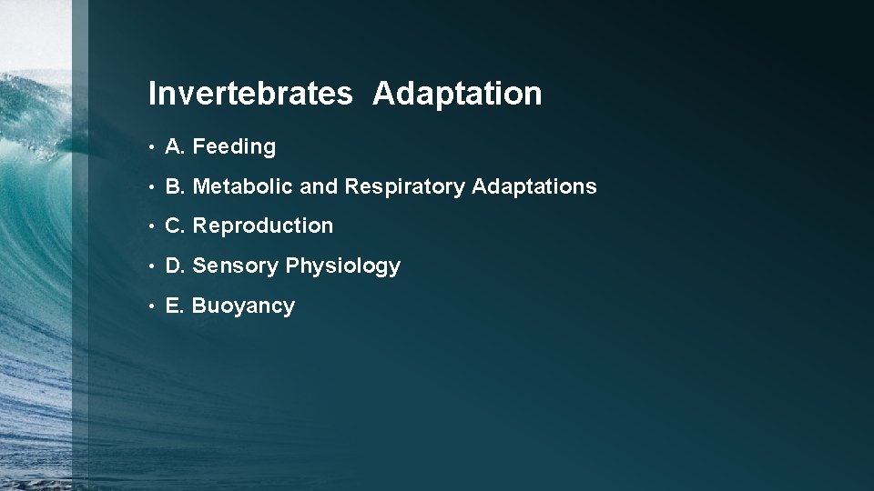 Invertebrates Adaptation • A. Feeding • B. Metabolic and Respiratory Adaptations • C. Reproduction