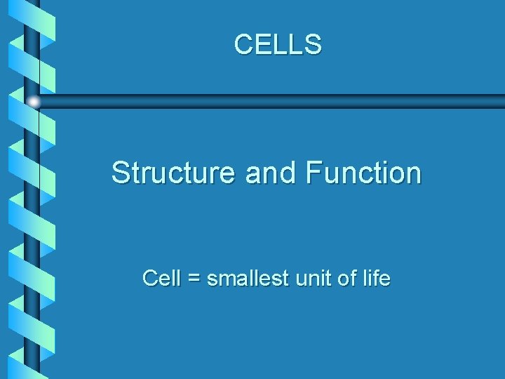 CELLS Structure and Function Cell = smallest unit of life 