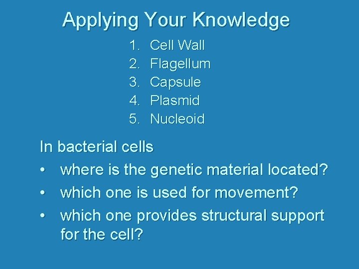 Applying Your Knowledge 1. 2. 3. 4. 5. Cell Wall Flagellum Capsule Plasmid Nucleoid