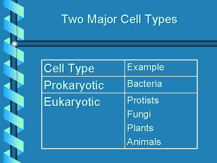 Two Major Cell Types Cell Type Prokaryotic Eukaryotic Example Bacteria Protists Fungi Plants Animals