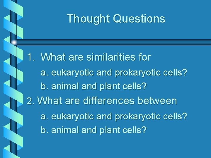 Thought Questions 1. What are similarities for a. eukaryotic and prokaryotic cells? b. animal