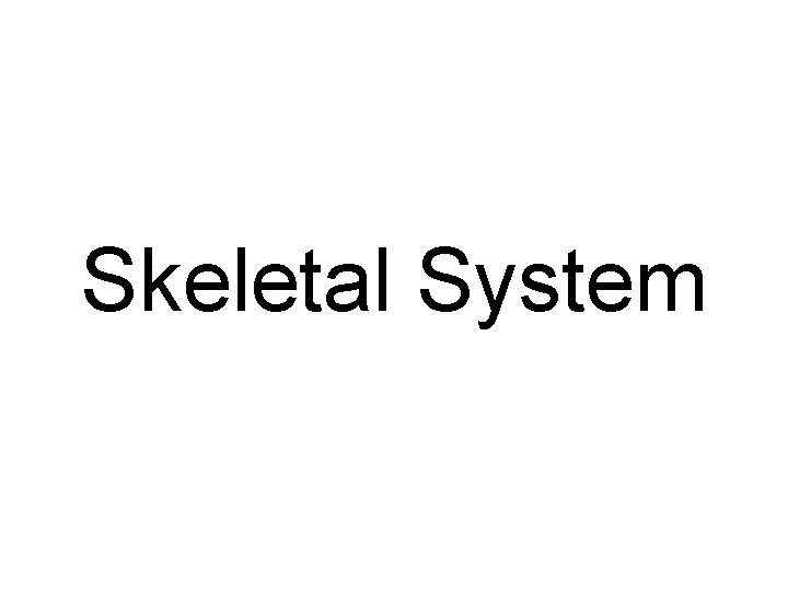 Skeletal System 