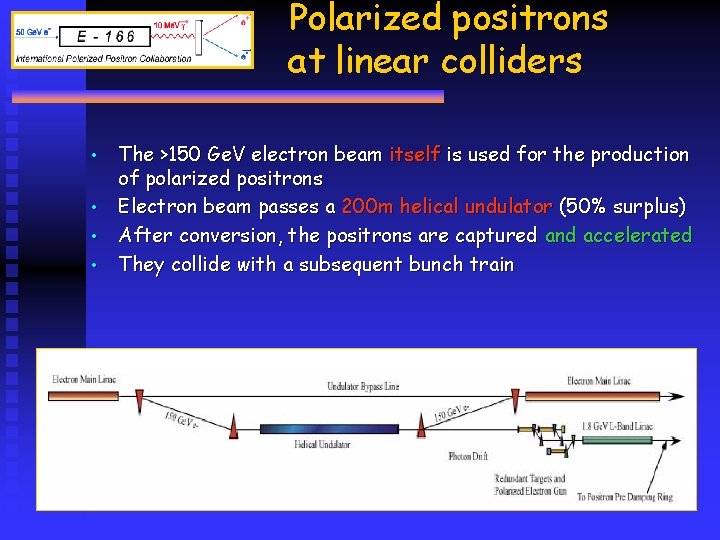 Polarized positrons at linear colliders • • The >150 Ge. V electron beam itself