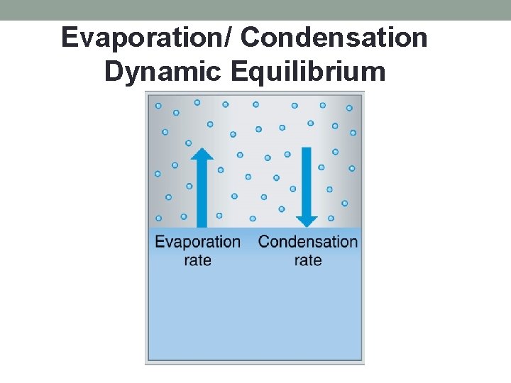 Evaporation/ Condensation Dynamic Equilibrium 