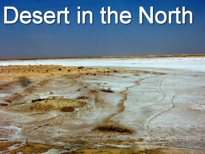 Desert in the North 