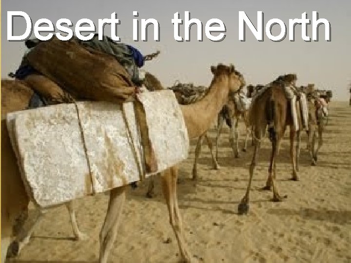 Desert in the North 