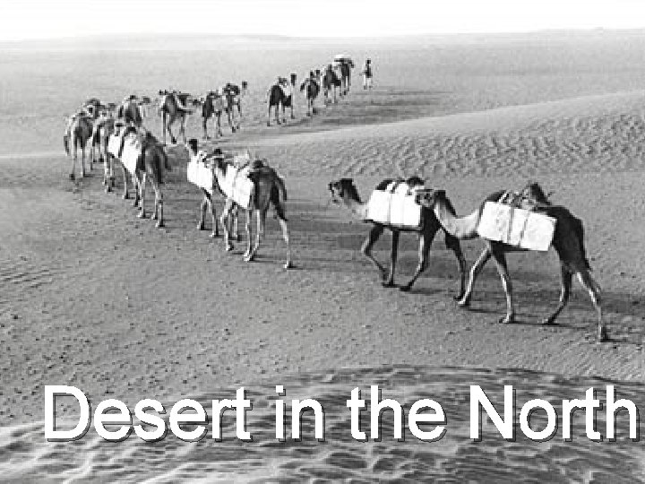 Desert in the North 