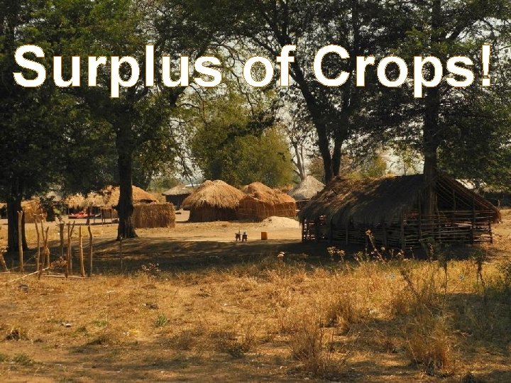 Surplus of Crops! 