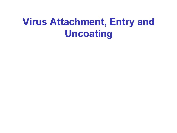 Virus Attachment, Entry and Uncoating 