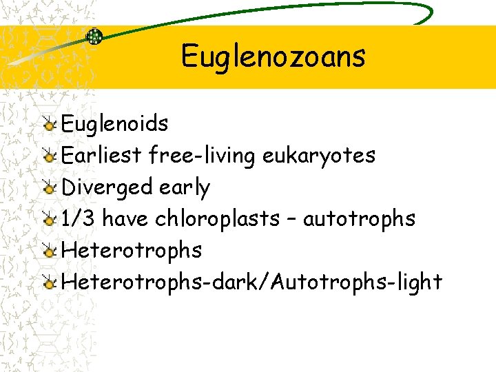 Euglenozoans Euglenoids Earliest free-living eukaryotes Diverged early 1/3 have chloroplasts – autotrophs Heterotrophs-dark/Autotrophs-light 