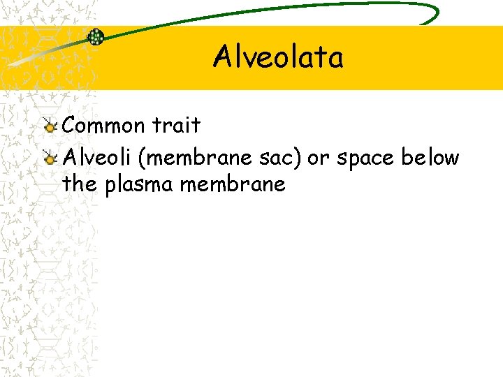 Alveolata Common trait Alveoli (membrane sac) or space below the plasma membrane 