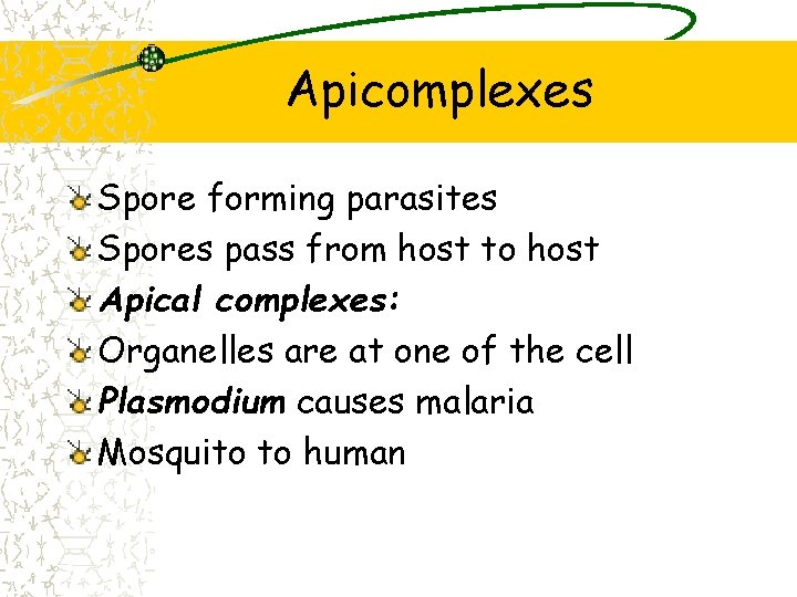 Apicomplexes Spore forming parasites Spores pass from host to host Apical complexes: Organelles are