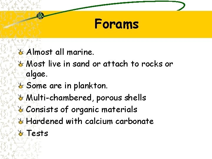 Forams Almost all marine. Most live in sand or attach to rocks or algae.