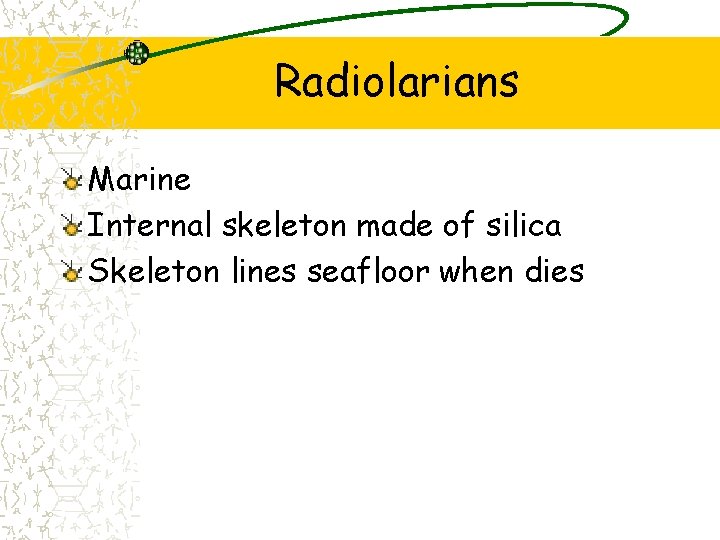 Radiolarians Marine Internal skeleton made of silica Skeleton lines seafloor when dies 