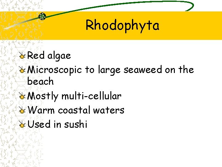 Rhodophyta Red algae Microscopic to large seaweed on the beach Mostly multi-cellular Warm coastal