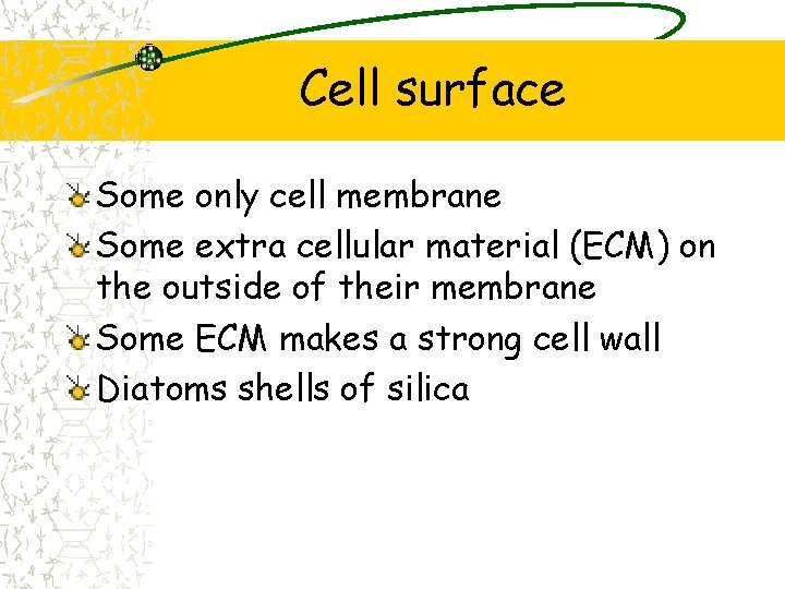 Cell surface Some only cell membrane Some extra cellular material (ECM) on the outside