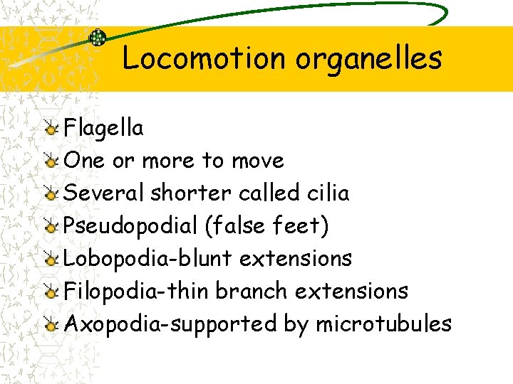 Locomotion organelles Flagella One or more to move Several shorter called cilia Pseudopodial (false