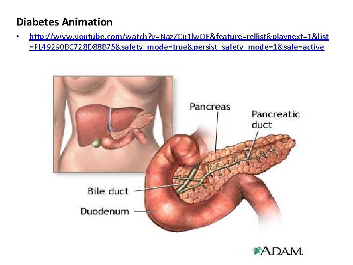 Diabetes Animation • http: //www. youtube. com/watch? v=Naz. ZCu 1 lw. OE&feature=rellist&playnext=1&list =PL 49290