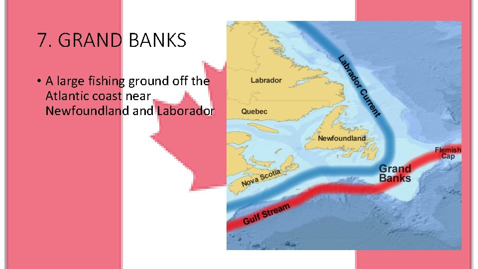 7. GRAND BANKS • A large fishing ground off the Atlantic coast near Newfoundland