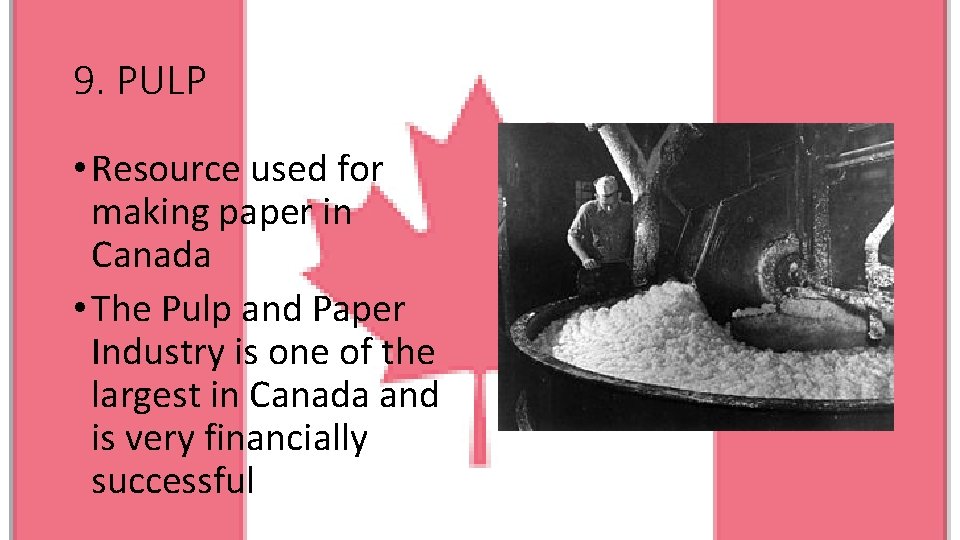 9. PULP • Resource used for making paper in Canada • The Pulp and