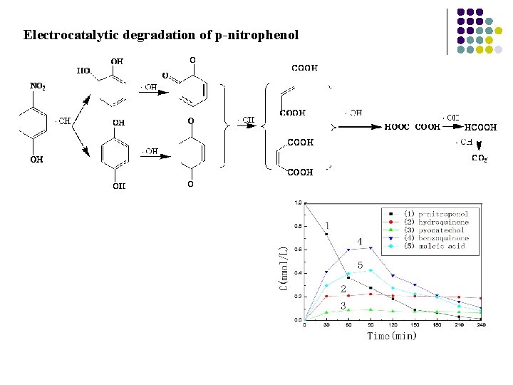 Electrocatalytic degradation of p-nitrophenol 