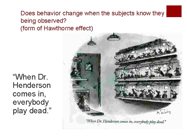 Does behavior change when the subjects know they are being observed? (form of Hawthorne
