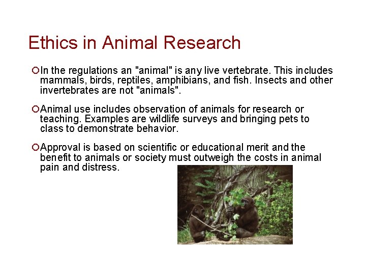 Ethics in Animal Research ¡In the regulations an "animal" is any live vertebrate. This