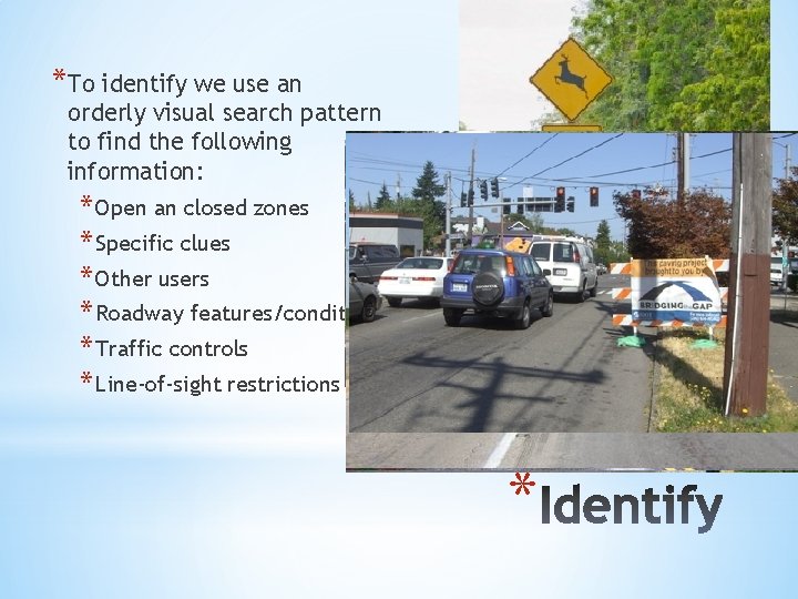 *To identify we use an orderly visual search pattern to find the following information: