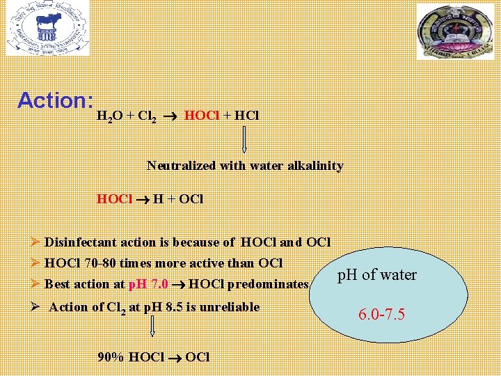 Action: H 2 O + Cl 2 HOCl + HCl Neutralized with water alkalinity