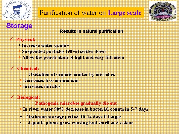 Purification of water on Large scale Storage Results in natural purification ü Physical: §