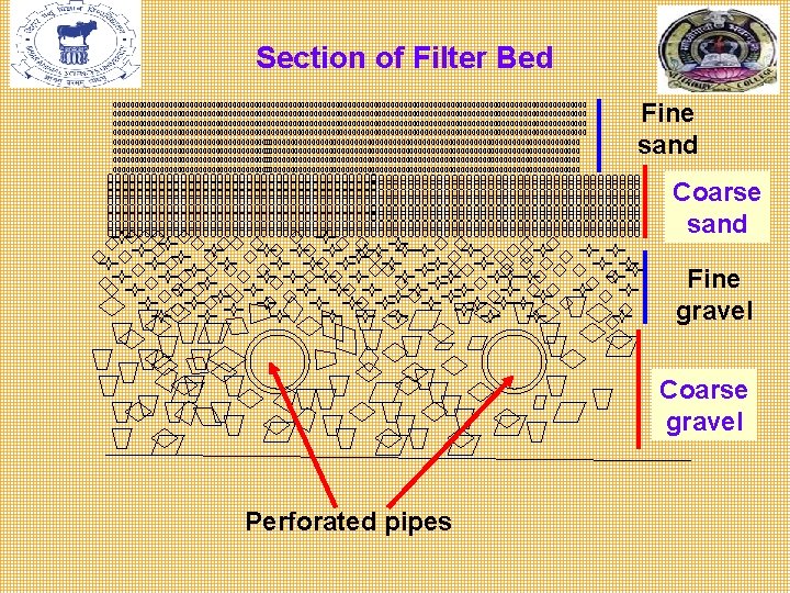 Section of Filter Bed 000000000000000000000000000000000000000000000000000000000000000000000000000000000000000000000000000000000000000 0000000000000000000000000000000000000 00000000000000000000000000000000000000000000000000000000000000000000000000 Fine sand 0000000000000000000000000000000000000 0000000000000000000000000000000000000 0000000000000000000000000000000000000 0000000000000000000000000000000000000 Coarse