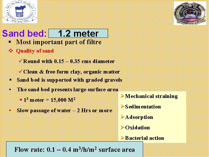 Sand bed: 1. 2 meter § Most important part of filtre v Quality of