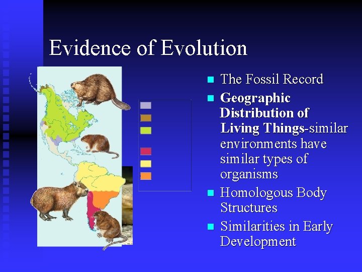 Evidence of Evolution n n The Fossil Record Geographic Distribution of Living Things-similar environments