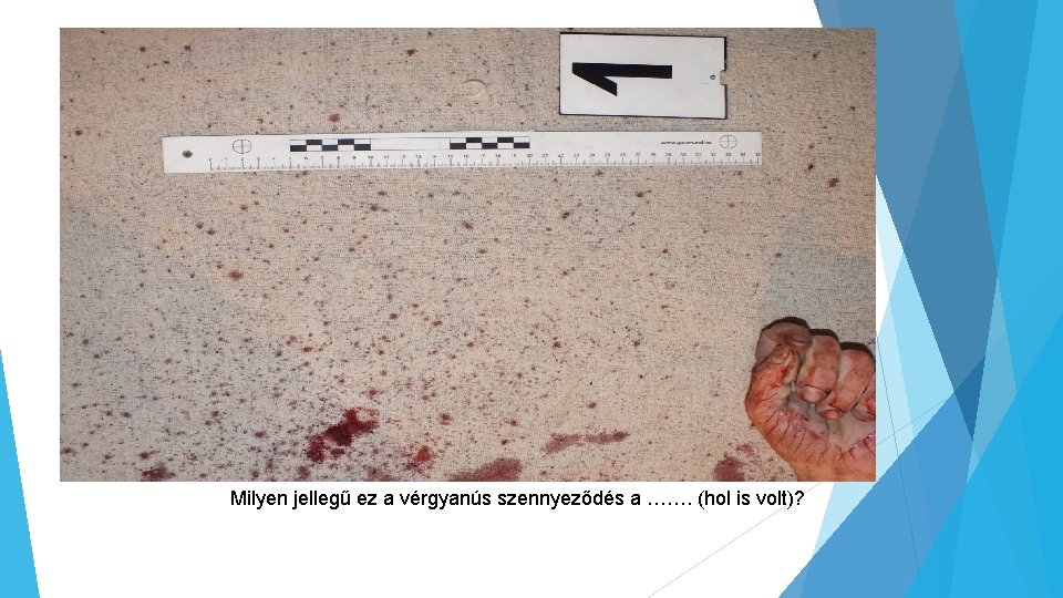 Milyen jellegű ez a vérgyanús szennyeződés a ……. (hol is volt)? 