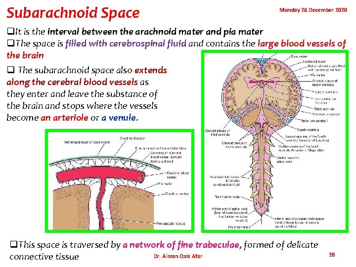 Subarachnoid Space Monday 28 December 2020 q. It is the interval between the arachnoid