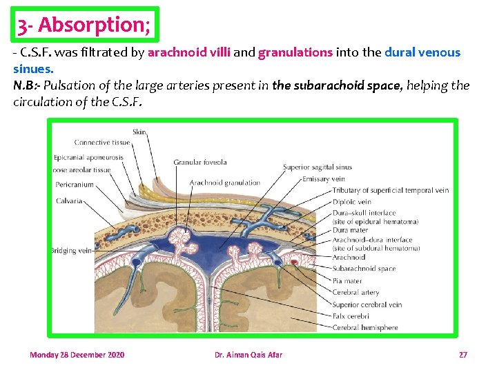 3 - Absorption; - C. S. F. was filtrated by arachnoid villi and granulations