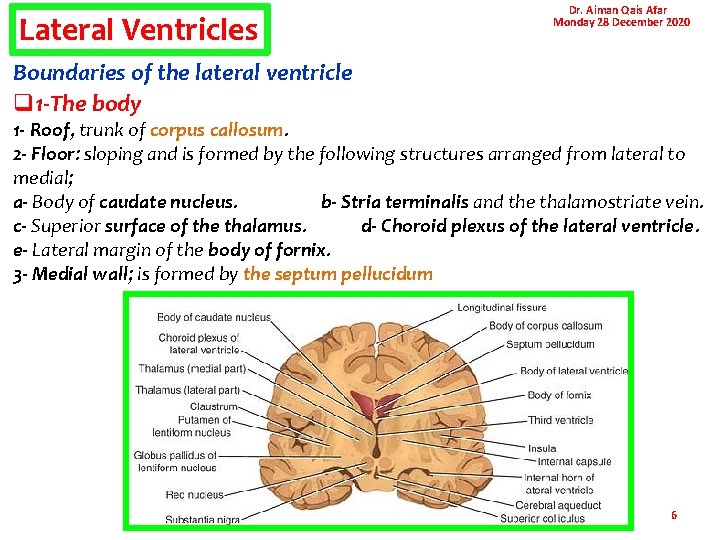 Lateral Ventricles Dr. Aiman Qais Afar Monday 28 December 2020 Boundaries of the lateral