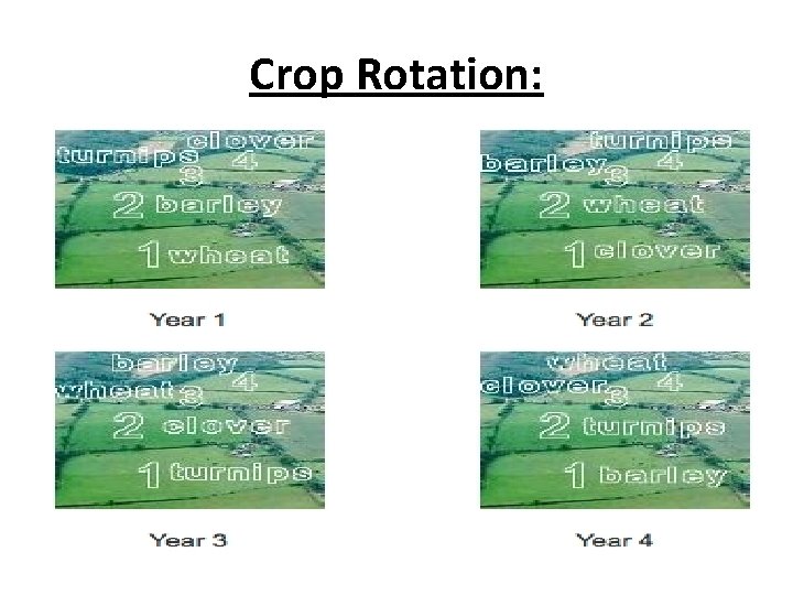 Crop Rotation: 