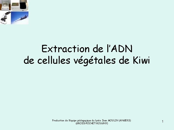 Extraction de l’ADN de cellules végétales de Kiwi Production de l’équipe pédagogique du lycée