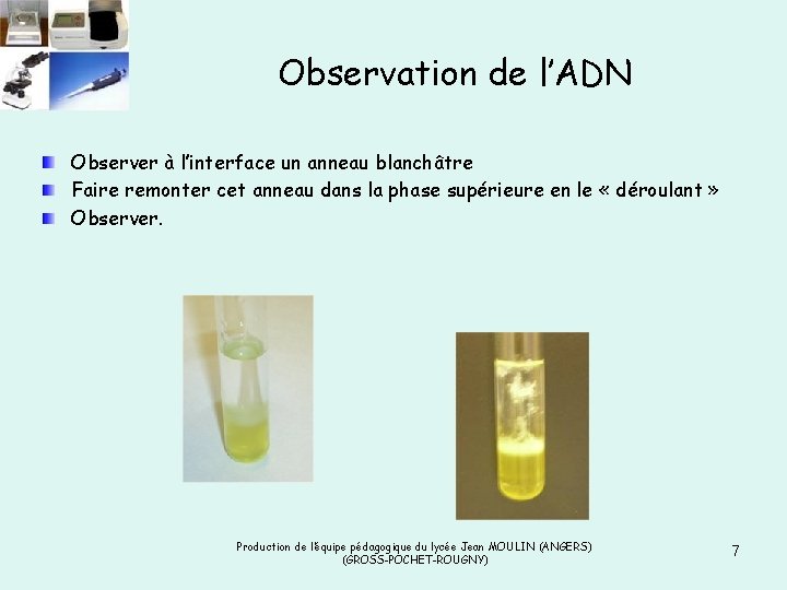 Observation de l’ADN Observer à l’interface un anneau blanchâtre Faire remonter cet anneau dans