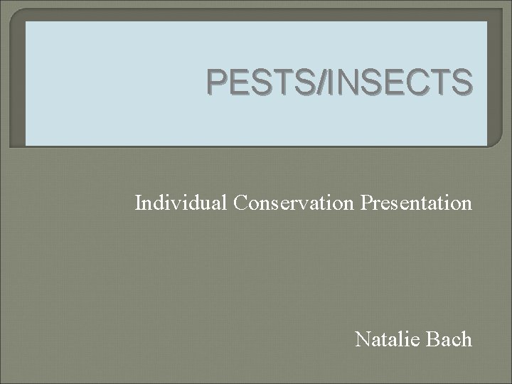 PESTS/INSECTS Individual Conservation Presentation Natalie Bach 