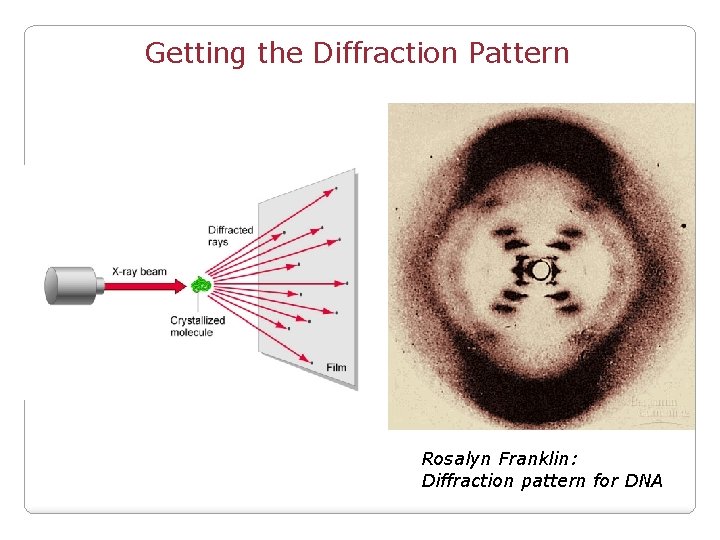 Getting the Diffraction Pattern Rosalyn Franklin: Diffraction pattern for DNA 