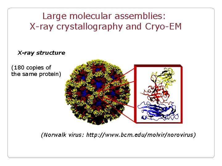 Large molecular assemblies: X-ray crystallography and Cryo-EM X-ray structure (180 copies of the same